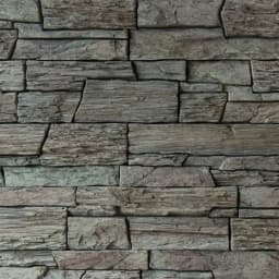 EXCLUSIVE Bridlica hradná forest