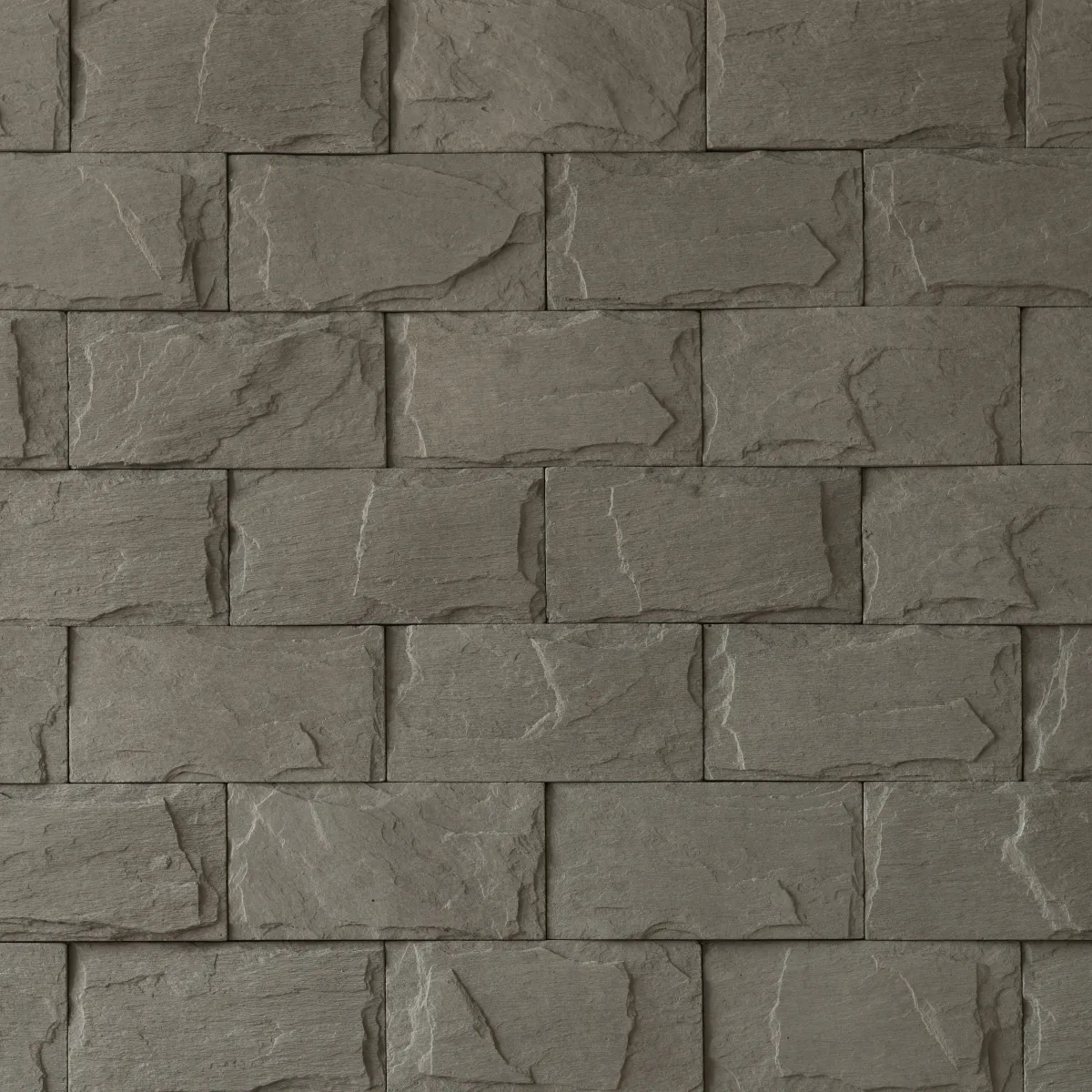 ECONOMY Bridlica štandard mocca