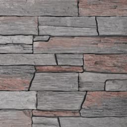 Bridlica hradná šedá