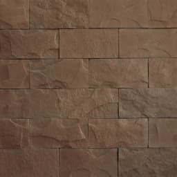 ECONOMY Bridlica štandard hnedá